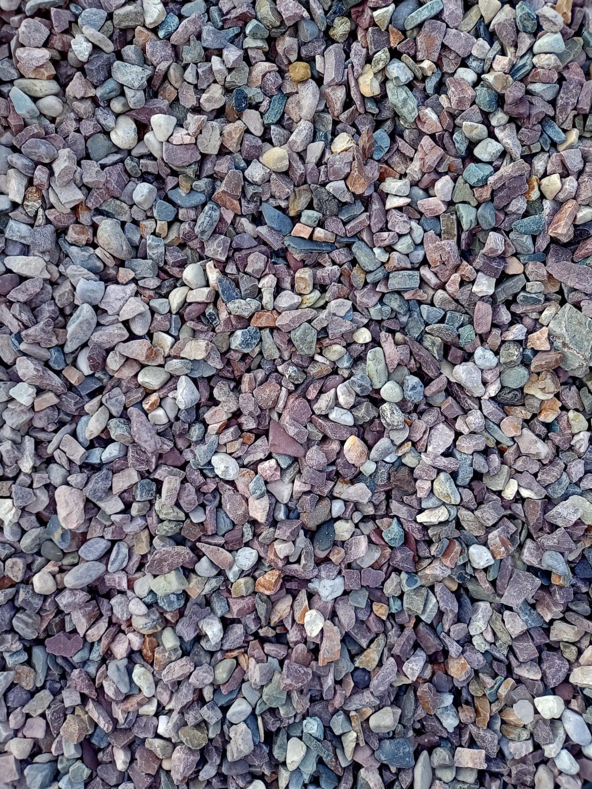 Slide 6